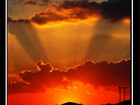 صور من ابداع اعضاء عمان فوتو
