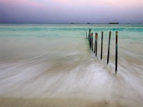 صور من ابداع اعضاء عمان فوتو