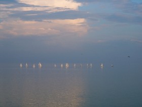 صور منوعة من الإنترنت