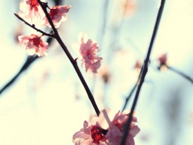 My_spring_by_incredi