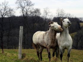 1394581-fd7aa6685aeff015_1_