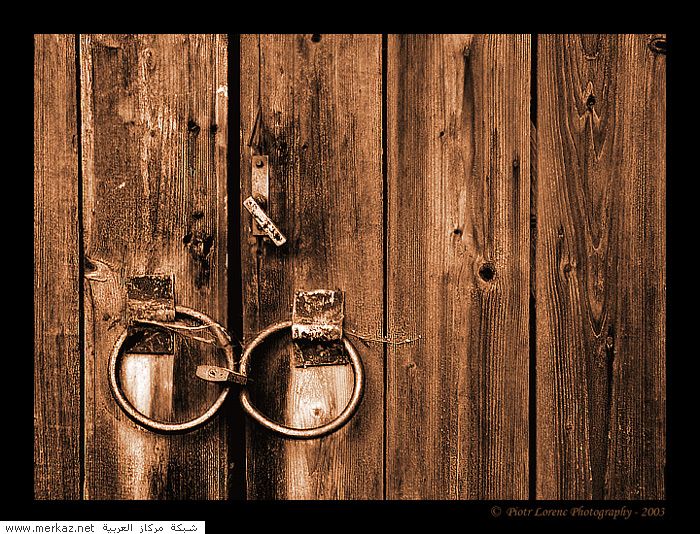 nice_pic_design_photo_85_1_