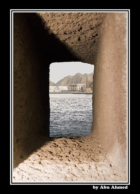 صور من ابداع اعضاء عمان فوتو