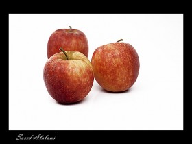 صور من ابداع اعضاء عمان فوتو