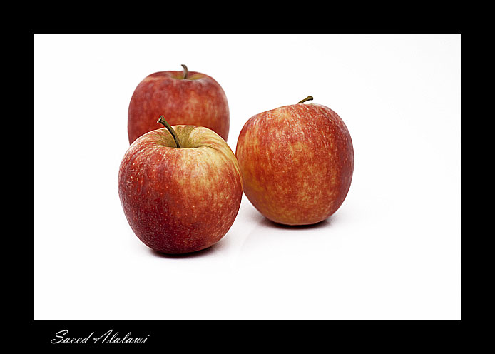 صور من ابداع اعضاء عمان فوتو