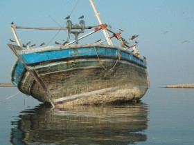 صور من ابداع اعضاء عمان فوتو