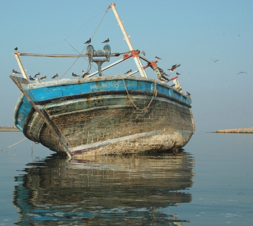 صور من ابداع اعضاء عمان فوتو