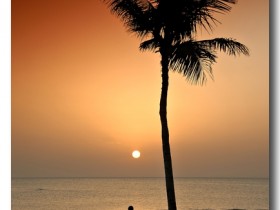 صور من ابداع اعضاء عمان فوتو
