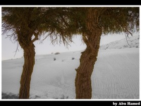 صور من ابداع اعضاء عمان فوتو