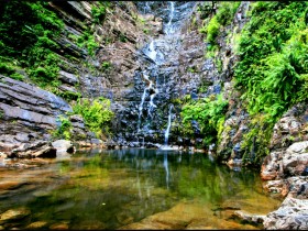 صور من ابداع اعضاء عمان فوتو