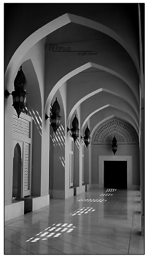 صور من ابداع اعضاء عمان فوتو