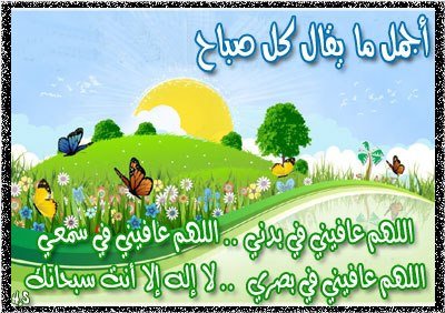 295584_553310778024392_1160413530_n