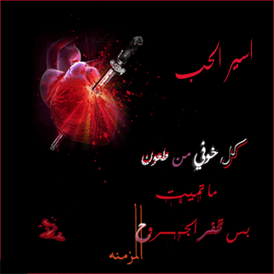 q love 452f3e0d94