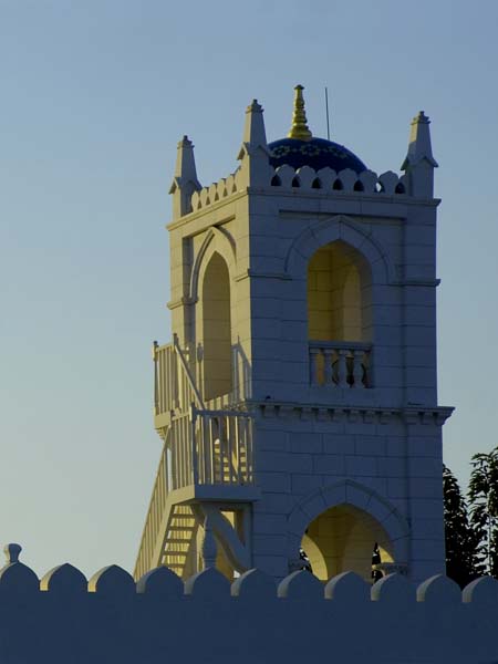 صور من ابداع اعضاء عمان فوتو