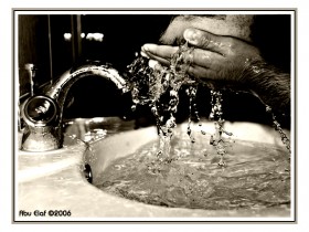 صور من ابداع اعضاء عمان فوتو