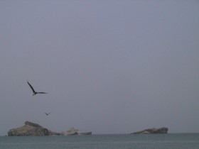 صور من ابداع اعضاء عمان فوتو
