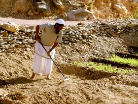 صور من ابداع اعضاء عمان فوتو