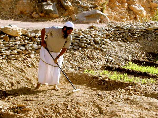صور من ابداع اعضاء عمان فوتو