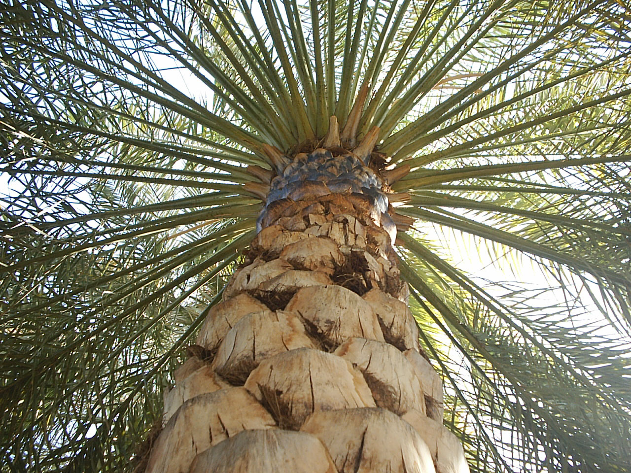 صور من ابداع اعضاء عمان فوتو