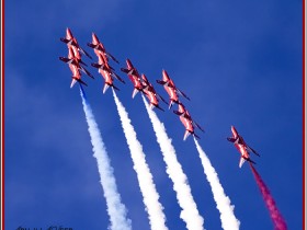 صور من ابداع اعضاء عمان فوتو