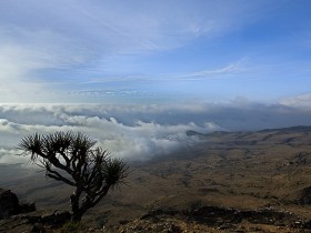 صور من ابداع اعضاء عمان فوتو