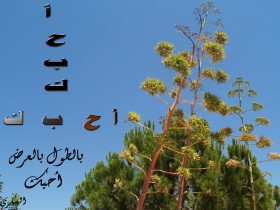 رمضان