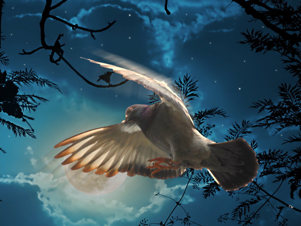 Rattling_6_48_