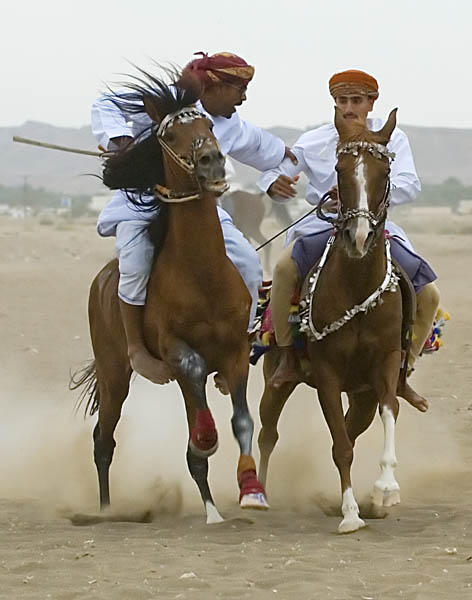 صور من ابداع اعضاء عمان فوتو