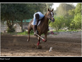 صور من ابداع اعضاء عمان فوتو