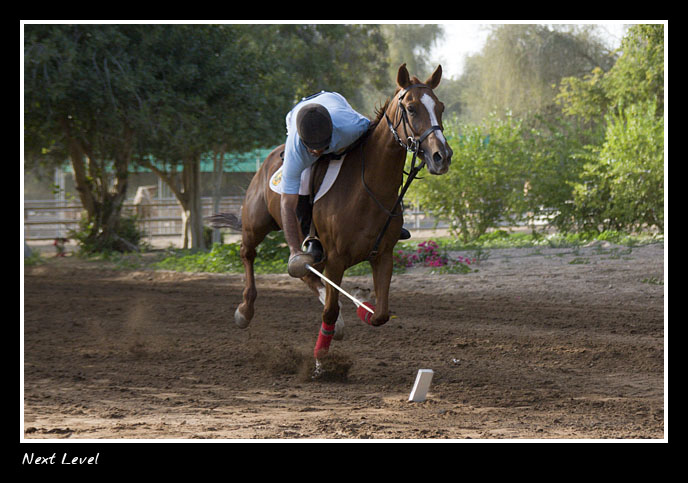 صور من ابداع اعضاء عمان فوتو