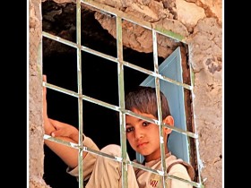 صور من ابداع اعضاء عمان فوتو