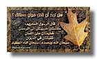 tnIslamic100-sooar_org