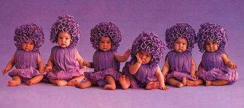 Baby-027
