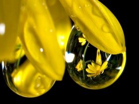 1566423-b5bd1678829c93c1_1_