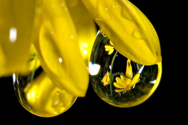 1566423-b5bd1678829c93c1_1_