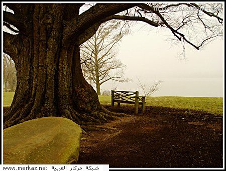 nice_pic_design_photo_59_1_