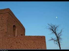 صور من ابداع اعضاء عمان فوتو