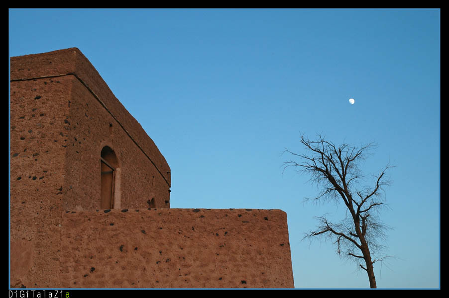 صور من ابداع اعضاء عمان فوتو