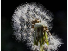 صور منوعة من الإنترنت