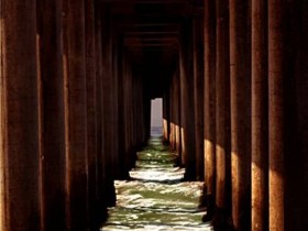 صور منوعة من الإنترنت