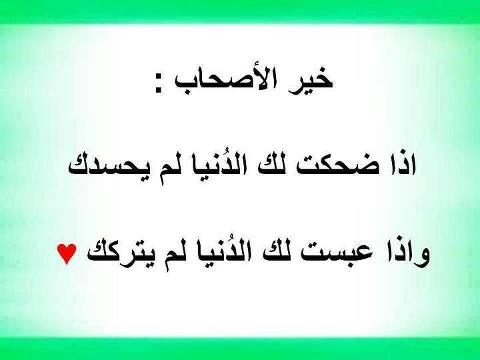 556781_10151406569950819_1706084694_n