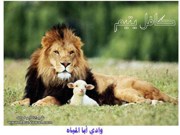 كافل اليتيم