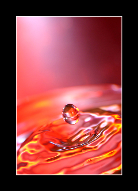 1545550-fc6a8e15bd67409f_1_