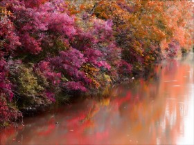 صور منوعة من الإنترنت