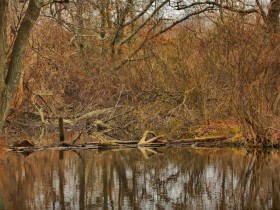 صور منوعة من الإنترنت