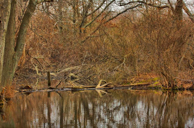 صور منوعة من الإنترنت