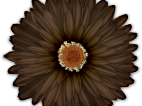 BVS_beautiful_flower01