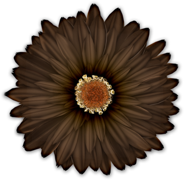 BVS_beautiful_flower01