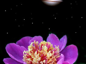 206406_201655086521821_165171746836822_605421_3922200_n