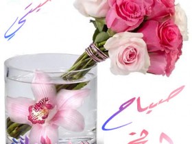 أحبتي